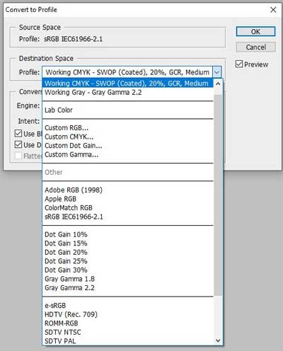 convert to profile window appears convert-to-profile-window-appears