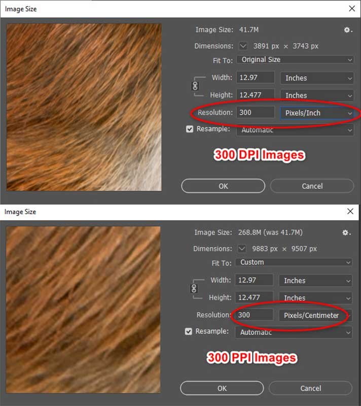 difference-between-dpi-and-ppi-in-photoshop